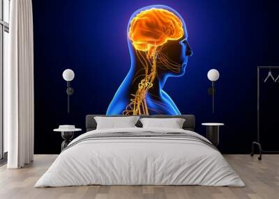 3d illustration of male human body skeleton with brain nerves system anatomy
 Wall mural