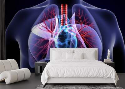 3Dillustration medical illustration of the heart and lung Wall mural