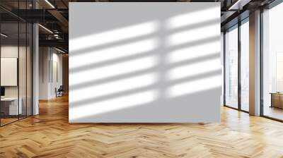 Window Sunlight Shadow Overlay Effect Wall mural