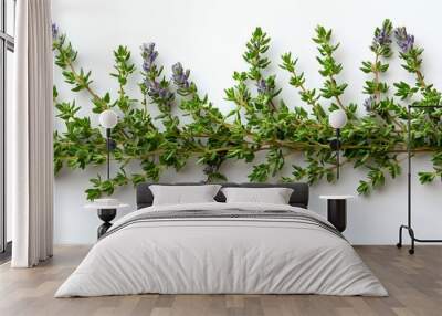 a green plant with purple flowers

 Wall mural