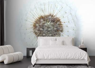 dandelion on white background Wall mural