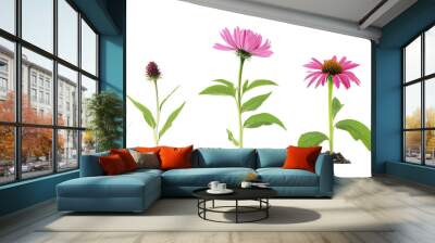 pink and white flowers Wall mural