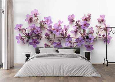 pink orchid isolated on white background Wall mural