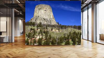 Devils Tower Wall mural