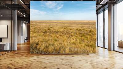 Landscape of the deserted steppe. Kazakhstan. steppe in Kazakhstan Wall mural