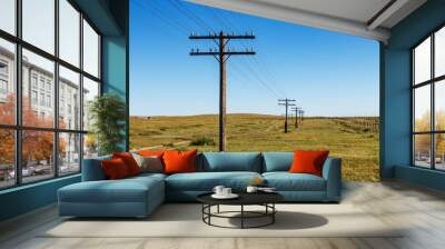 overhead line on wooden supports in the Mongolian steppe, Bayan, Mongolia Wall mural