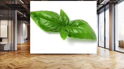 fresh basil leaves Wall mural