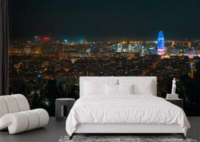 Skyline of Barcelona from the 'Bunkers del Carmel', at night Wall mural