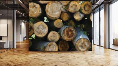 Background of cut and stacked tree trunks Wall mural