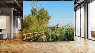 Caucasian man photographing wildlife in wetlands on a wooden walkway on a sunny morning.  Wall mural