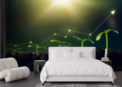 concept of business growth,profit, development and success. young plants increase on sunny backgroun Wall mural