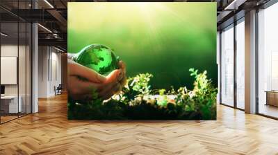 Environment day, save clean planet, ecology concept. Earth Day.Hand holding crystal earth globe.Renewable energy-based green businesses can limit climate change and global warming. Wall mural