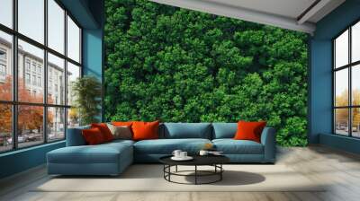 Green forest in summer with a view from above.Spring birch groves with beautiful texture. Wall mural