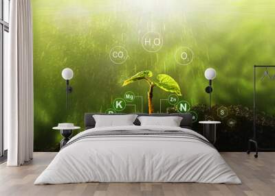 Plants on  sunny background with digital mineral nutrients icon. Fertilization and the role of nutrients in plant life.  Wall mural