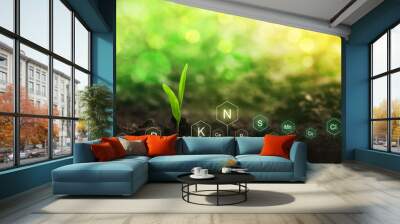 Role of nutrients mineral in Corn plant and soil life with digital mineral nutrients icon.	
 Wall mural