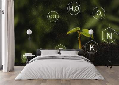 Seedlings are exuberant from abundant loamy soils. Development and  role of nutrients in plant life with digital mineral nutrients icon.  Wall mural