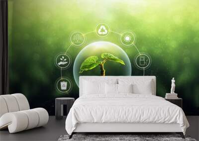 Sources for renewable, sustainable development. Environment and ecology concept.Green plant on sunny background.	 Wall mural