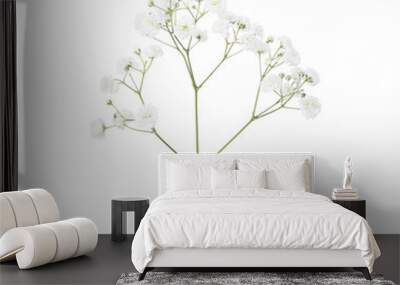 Closeup of small white gypsophila flowers isolated on white Wall mural