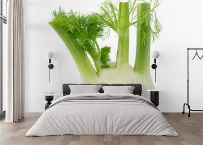 fresh fennel bulb isolated on white background Wall mural