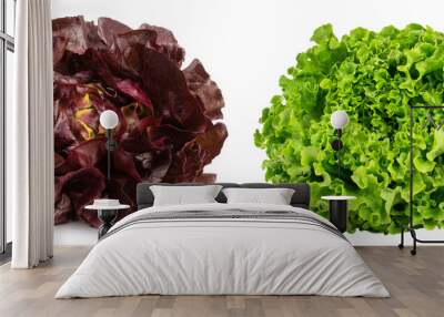 Fresh red and green lettuce isolated on white background. Bio vegetables. Wall mural