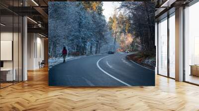 One man walks on the forest road in winter Wall mural