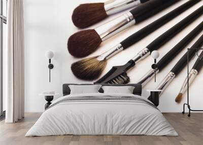 professional make-up brushes Wall mural