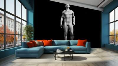 Beautiful young man posing, isolated on black background. 3d illustration (rendering). Silver mannequin, android Wall mural