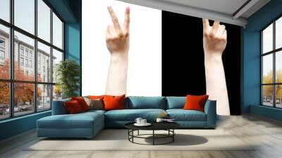 hand show peace sign isolated black and white background b Wall mural