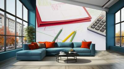 Graphs, charts, business table. Wall mural