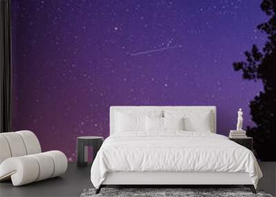 Night sky astrology nature background. Wall mural