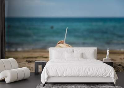 Coconut Drink on Tropical Beach Wall mural