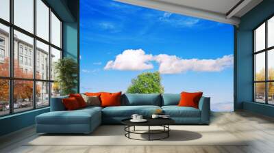 lake on the field with beautyful sky Wall mural