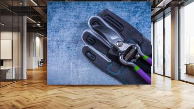 Pruning shears fabric safety gloves on metallic surface agricult Wall mural