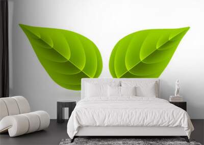 two green leaves on white background Wall mural