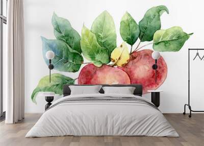 Two red watercolor apples Wall mural