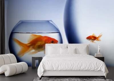 Big and small goldfish Wall mural