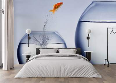 goldfish jumping out of the water Wall mural