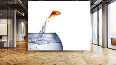 goldfish jumping out of the water Wall mural