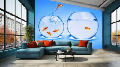 goldfish jumping out of the water Wall mural