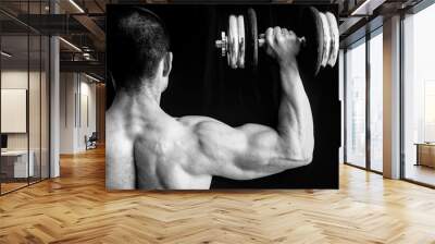 arms muscles, weigh lifting Wall mural