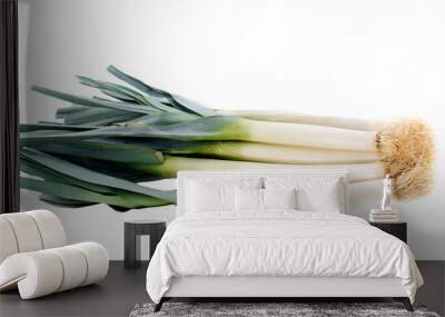 bunch of leeks PNG Wall mural