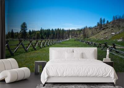 green lush field and long wooden fence in a valley Wall mural