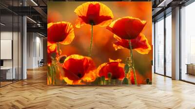 Detailed, high resolution panorama of flowering red poppies Wall mural