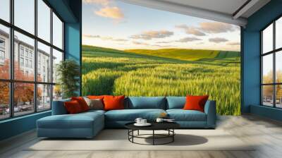 Green, spring field, panorama Wall mural