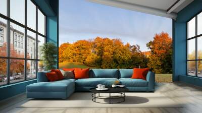 Panorama of a green field with an autumn forest in the background Wall mural