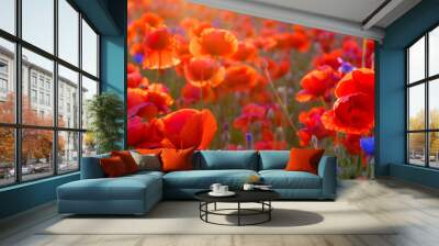 Poppy meadow in the light of the setting sun Wall mural