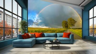 rainbow after the storm
 Wall mural