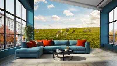 small herd of goats grazing in the meadow on a sunny day Wall mural