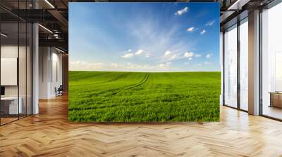 spring landscape panorama,green wheat field Wall mural