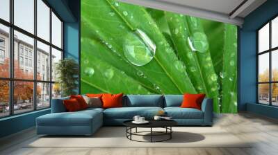 leaf Wall mural